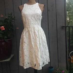 Ecru Cream Demure Overlay Dress